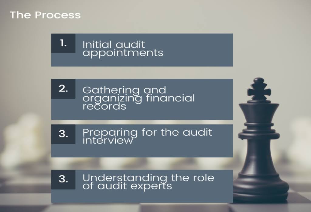 Strategic audit defense for taxpayers