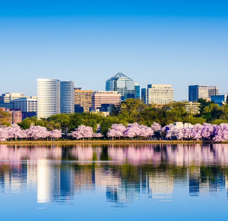 Tax Attorney in Washington, DC | Top Rated IRS Lawyers