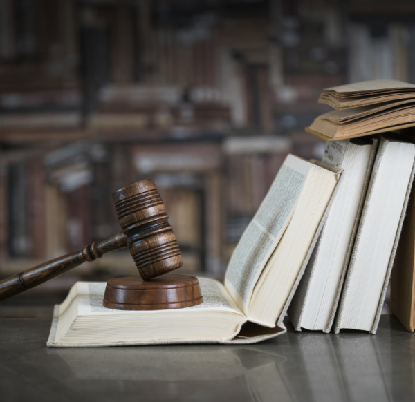 Expert IRS audit defense services