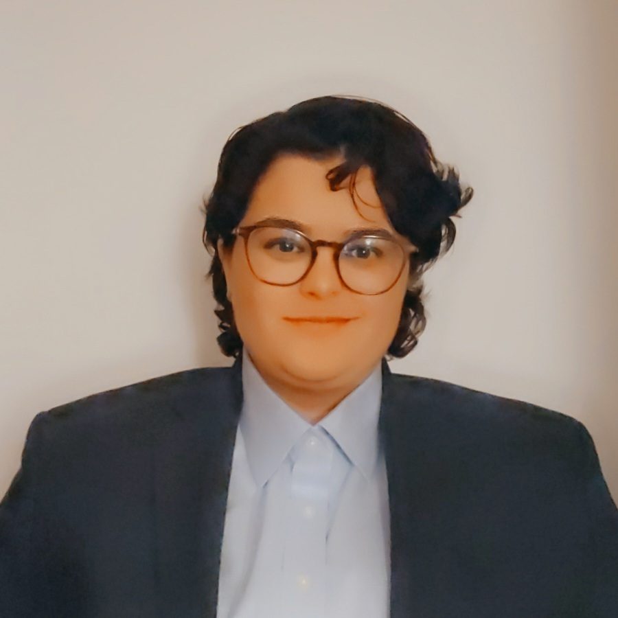 Lisa Goldschmidt New York Licensed Tax Attorney